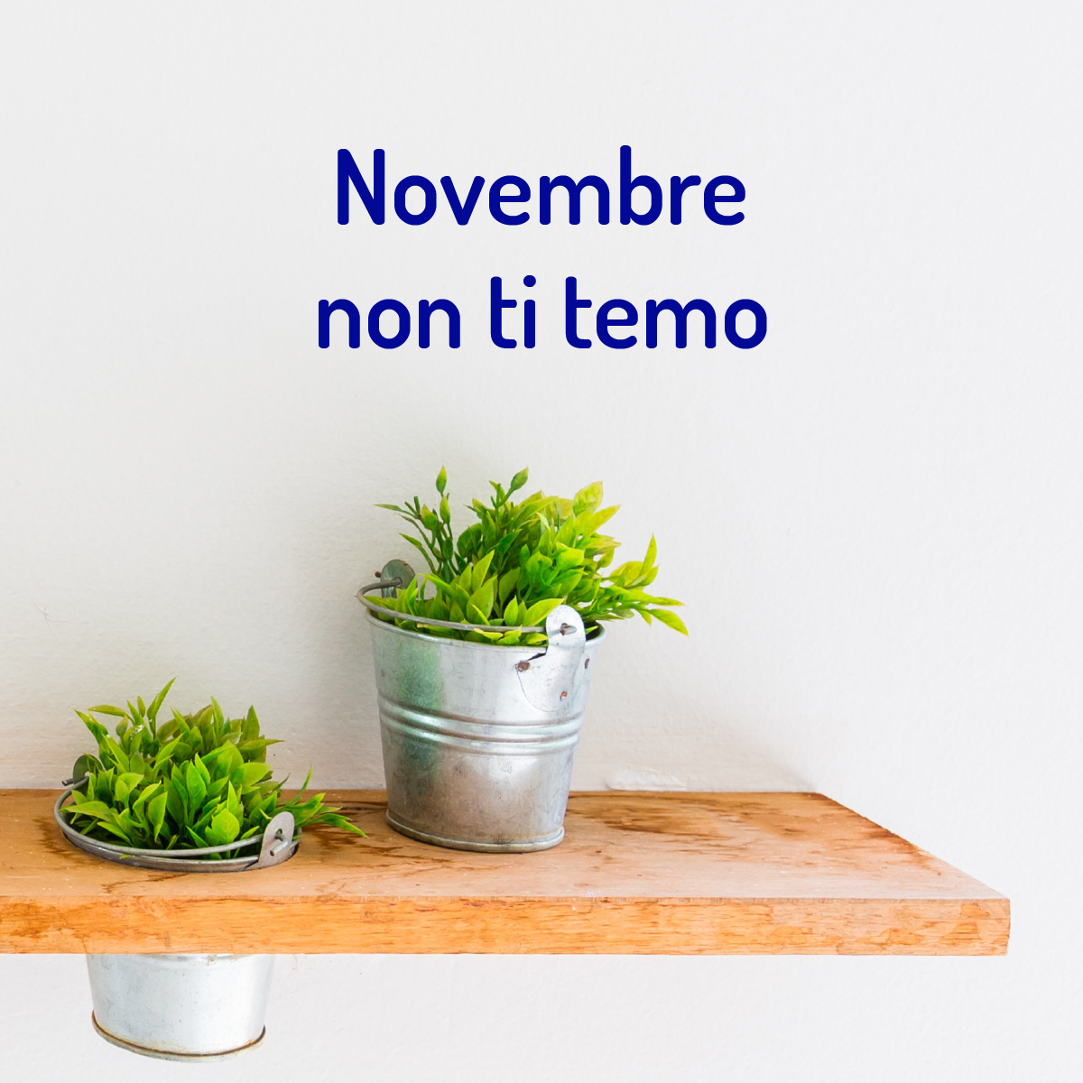 thumnail Novembre non ti temo.
